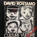 David Rostamo ‎– Culture Vulture