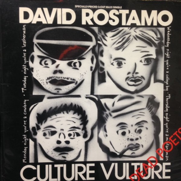 画像1: David Rostamo ‎– Culture Vulture (1)